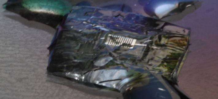 An example of the "transient electronic" system that DARPA is hoping to develop An example of the "transient electronic" system that DARPA is hoping to develop
