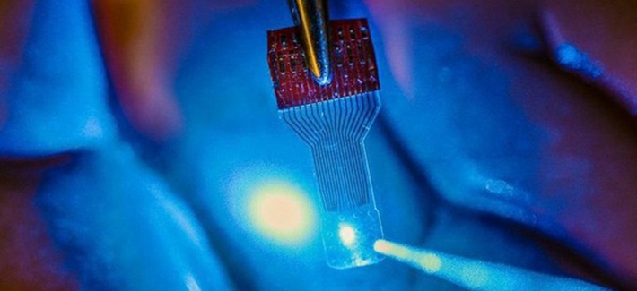 A picture of the graphene-based brain chip used in this experiment. 