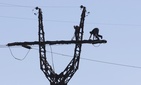Workers repair an electricity power line damaged during shelling near a power station outside the city of Slovyansk, Donetsk Region, eastern Ukraine Thursday, July 10, 2014. Workers repair an electricity power line damaged during shelling near a power station outside the city of Slovyansk, Donetsk Region, eastern Ukraine Thursday, July 10, 2014.