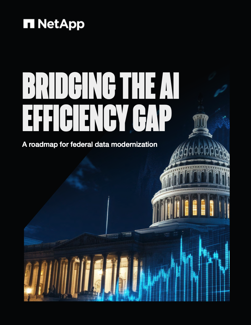 Bridging the AI Efficiency Gap: A roadmap for federal data modernization
