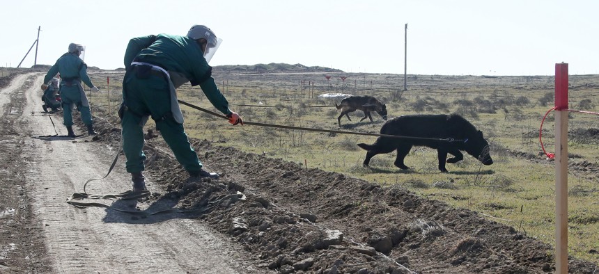 Officers of the Azerbaijan National Agency for Mine Action (ANAMA) demonstrate mine clearing with dogs in the Fuzuli District in February 2021.
