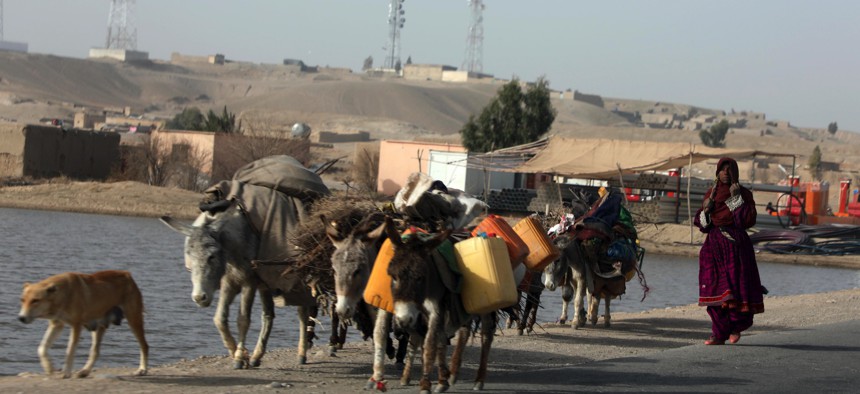 Donkeys carry bottles and woods as daily lives continues in Helmand province, Afghanistan, on February 5, 2022. 