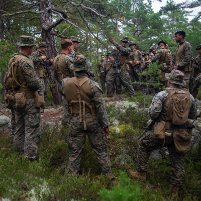 Pentagon May Give Sweden, Finland More Security Aid