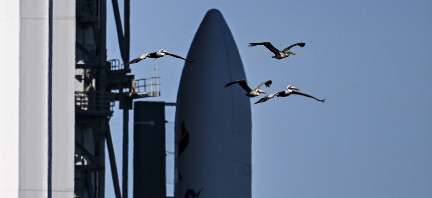 Pelicans fly past the United Launch Alliance (ULA) Vulcan Centaur rocket as it is transported to Space Launch Complex 41 at the Kennedy Space Center in Cape Canaveral, Florida, on January 5, 2024. 