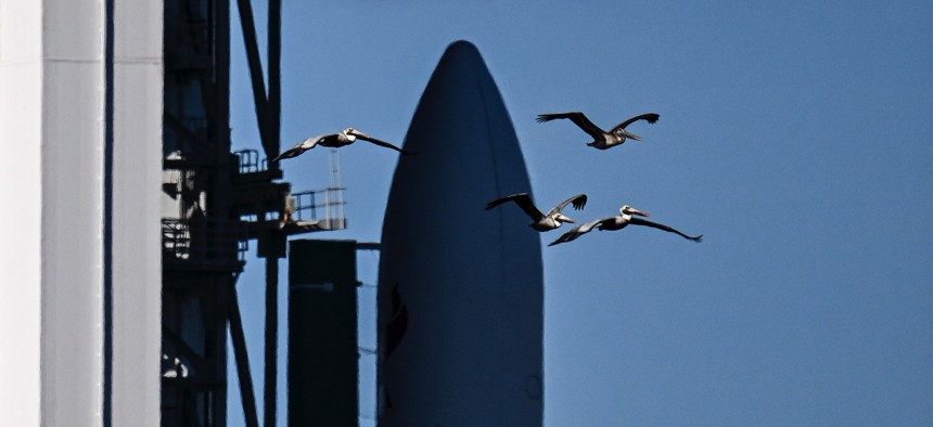 Pelicans fly past the United Launch Alliance (ULA) Vulcan Centaur rocket as it is transported to Space Launch Complex 41 at Cape Canaveral Space Force Station in Cape Canaveral, Florida, on January 5, 2024.
