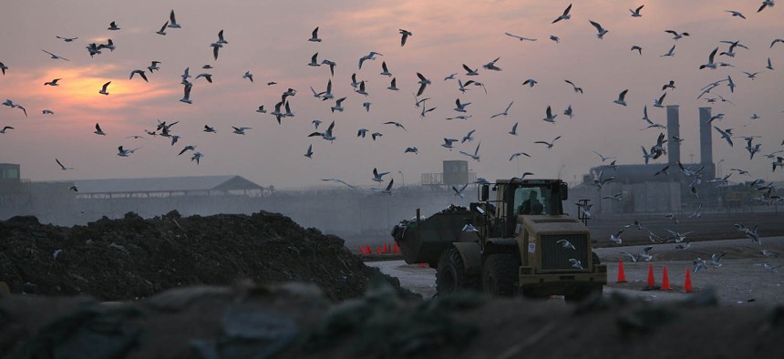 In this 2010 photo taken in Camp Taji, Iraq, bird flock around a tractor moving trash into a burn pit. 