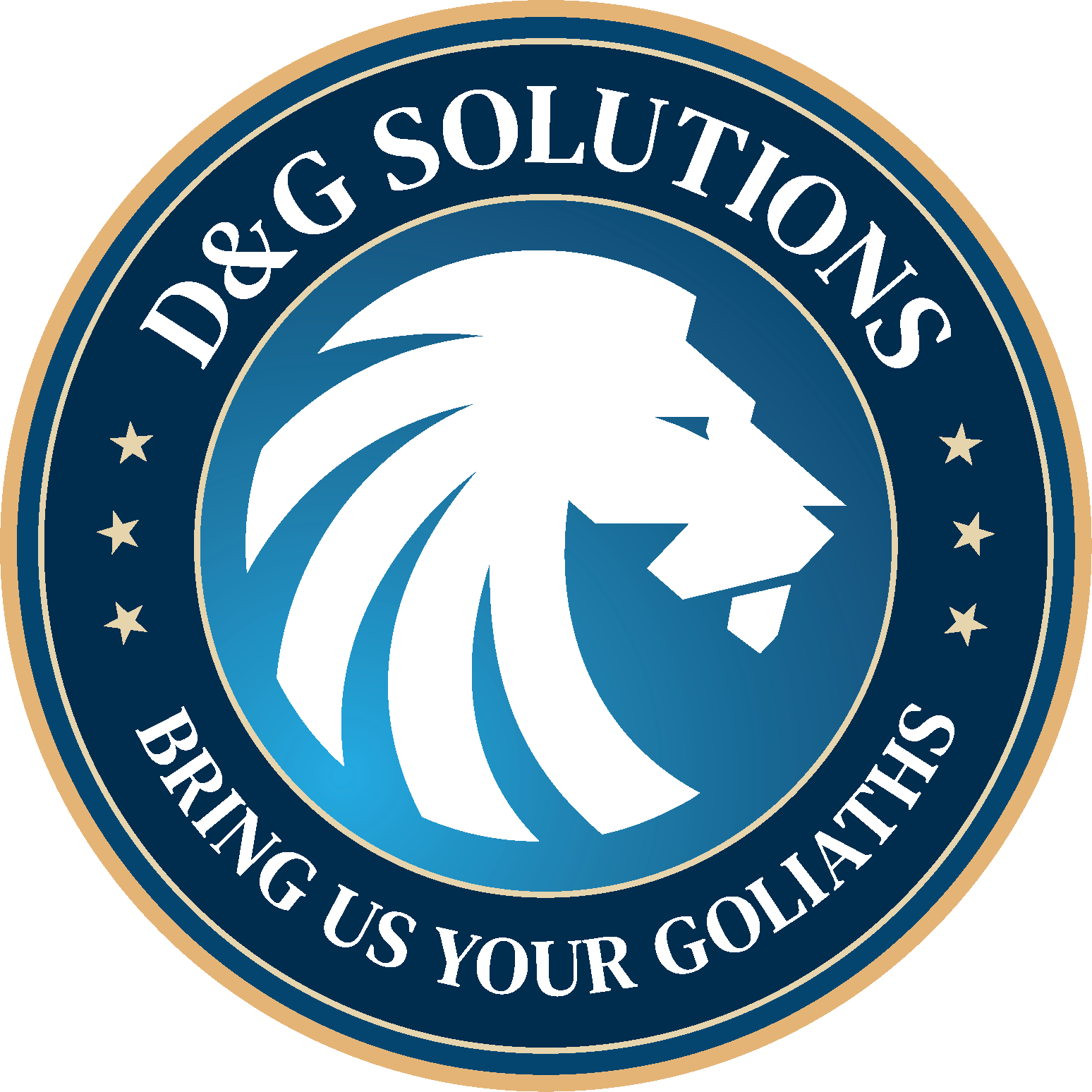D&G Solutions's logo