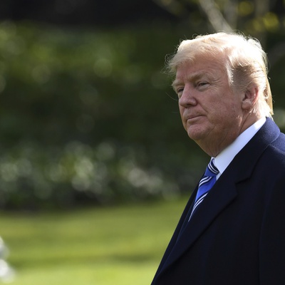 Where's the New Transgender Troops Ban Headed? Look at the Travel Ban Fight