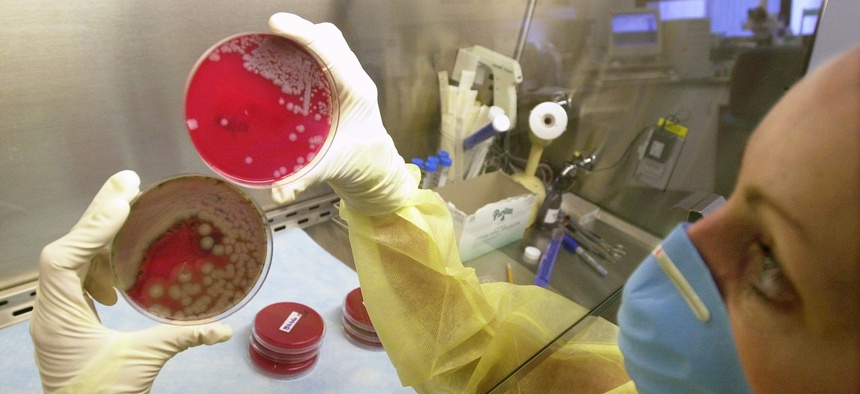 Senior microbiologist Cheryl Gauthier holds petri dishes containing samples of Bacillus cereus, left, and a Bacillus species, right, at the Department of Public Health state laboratory in Boston, Oct. 25, 2001.